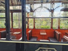 -合肥滨湖国家森林公园