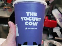 -一只酸奶牛(大融城店)