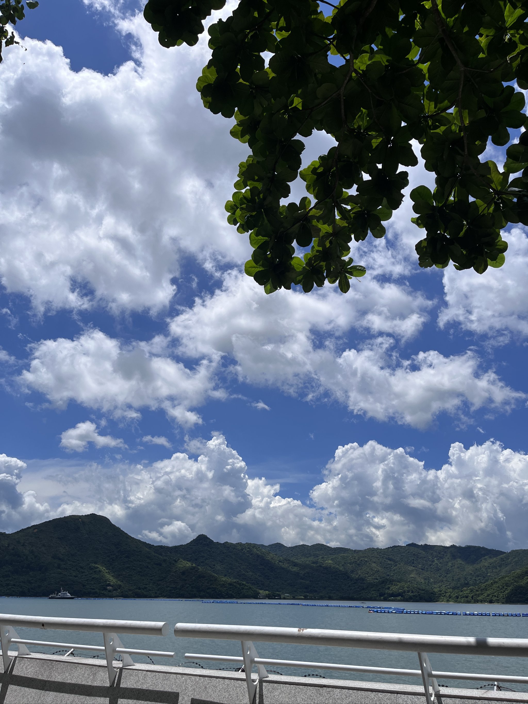 晴空万里海景图片图片