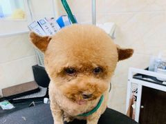 -美联众合动物医院·24h京西诊疗中心