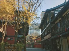 -龙抄手(文殊坊店)