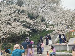 -杭州少年儿童公园