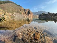 -树山生态村