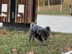 -瀛海足球主题公园