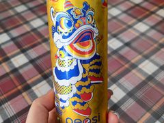 -芽庄老成都川菜馆