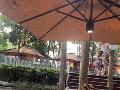 -二荆条·蜀鲜汇城市森林火锅