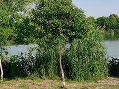 -九里河湿地公园
