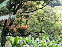 -梧桐山风景名胜区