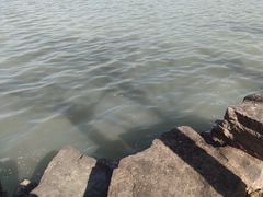 -东钱湖旅游度假区