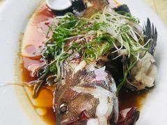 -老字号蛇口德记烧腊饭店·海鲜加工