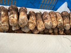 -云南木水花野生菌交易中心