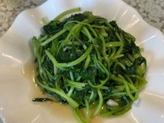 鸡毛菜-文三里屯面馆(三里屯店)