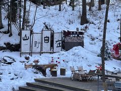 -峡谷浮石林景区