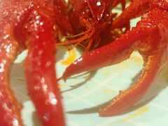 -红盔甲·小龙虾(天钥桥店)