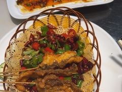 -港升鱼师傅·中山脆肉鲩