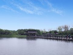 -溱湖国家湿地公园