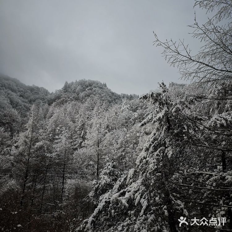 雾凇、白雪、冰挂这里都有