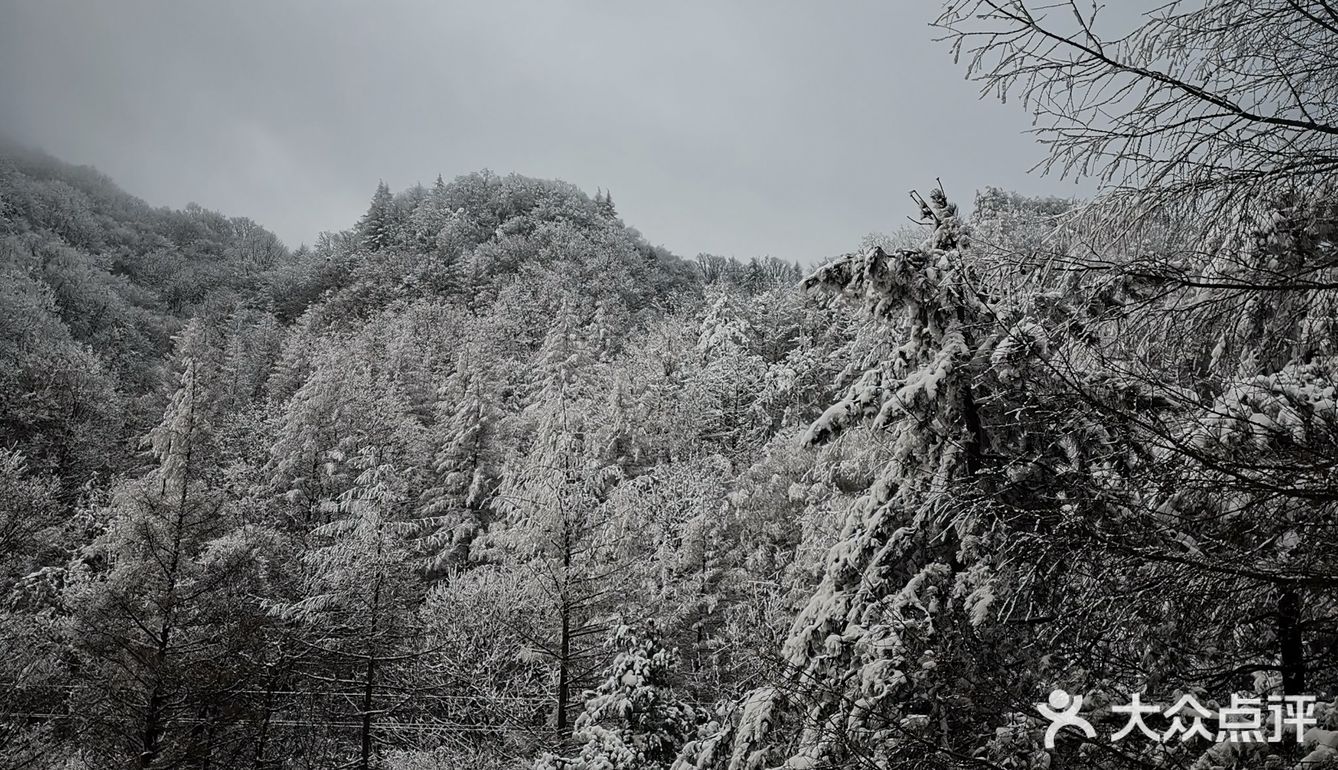 雾凇、白雪、冰挂这里都有