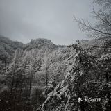 雾凇、白雪、冰挂这里都有