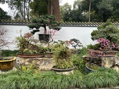 -成都杜甫草堂博物馆