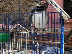 -柬埔寨国家博物馆