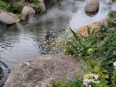 -罗红摄影艺术馆