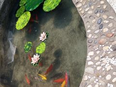 -映像威海·海鲜味道(市区店)
