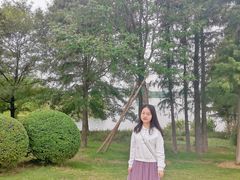 -贡湖湾湿地公园
