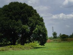 -良渚古城遗址公园
