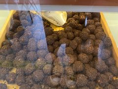 -包满意面包糕点(东坝店)