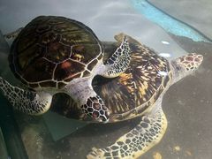 -台州海洋世界
