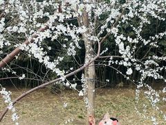 -中央广播电视总台(光华路办公区)