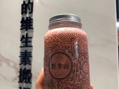 -野萃山·潮汕厚果汁(十亩地店)
