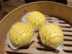 -寨子里的钵钵菜-湘西山里菜(火车站店)