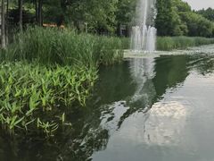 -暨阳湖大酒店-西餐厅