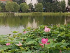 -西海子公园