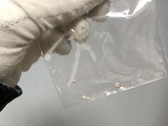 -瑞派·关忠动物医院·异宠专科·犬猫肿瘤·皮肤专科(望京店)