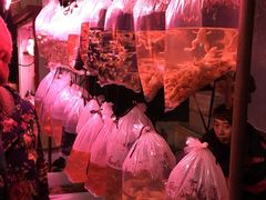 -中环花鸟鱼虫市场