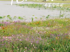 -上海辰山植物园