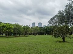 -万绿园
