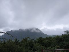 -山王坪喀斯特国家生态公园