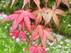 -玄武湖景区-情侣园游乐场