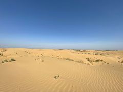 -恩格贝生态旅游区