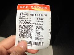 -新影联·华谊兄弟影院(望京店)