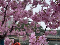 -新江湾城公园
