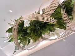 -Aqua Oasis 水天堂(太湖中心mall店)