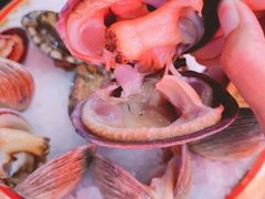 天鹅蛋-捞围鲜·港式打边炉(海阳路店)