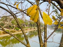 -上海海湾国家森林公园