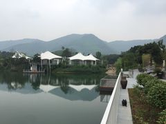 iphone_upload_pic-帐篷客·溪龙茶谷度假酒店
