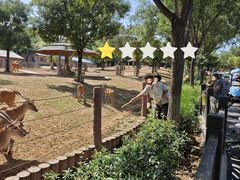 -石家庄市动物园